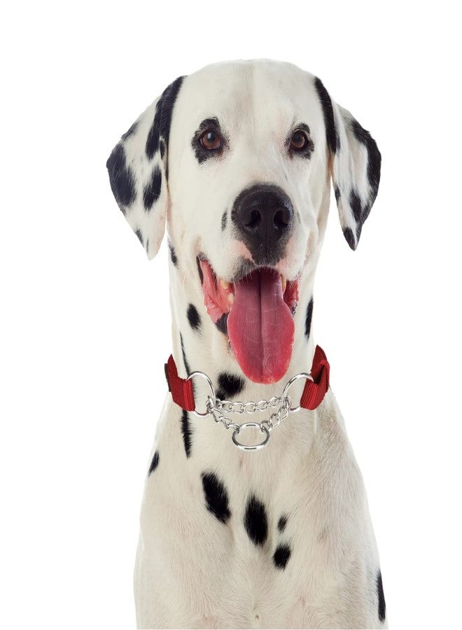 Trixie Premium Stop-The-Pull Collar, Adjustable Nylon Collar for Dogs, Made with Strong Metal Chain to Easily Slip Around Dog's Neck (S-M, Cherry RED) - Image 4